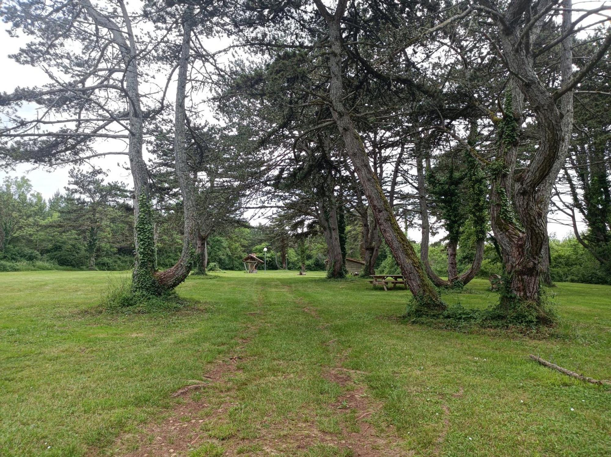 Gite De La Fontaine Villa Venarey-les-Laumes Buitenkant foto